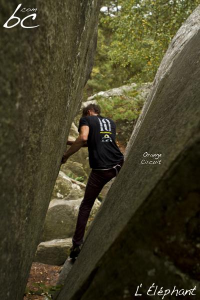 "Orange Circuit" (20)